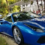 White House - Luxury