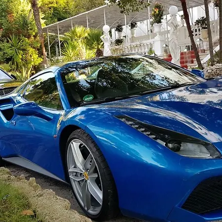 White House - Luxury