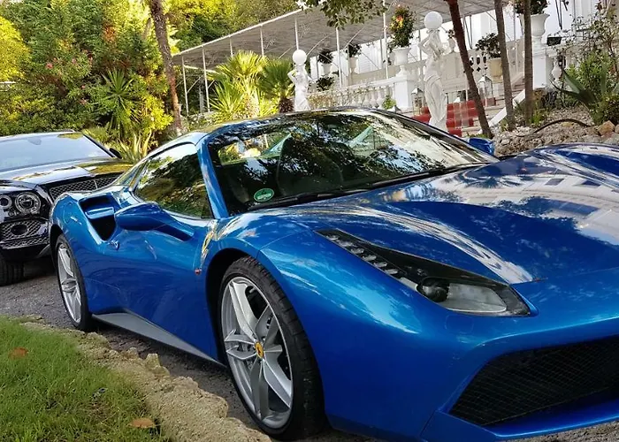 White House - Luxury